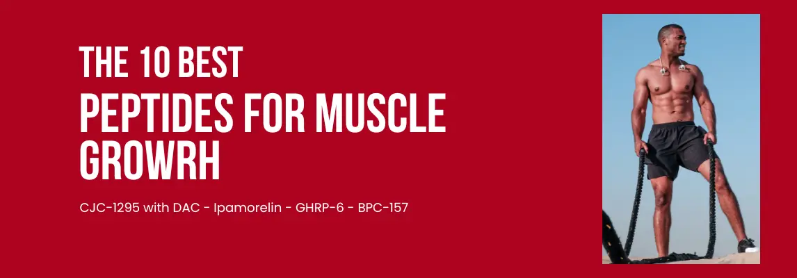 Top 10 Peptides for Muscle Growth in 2025