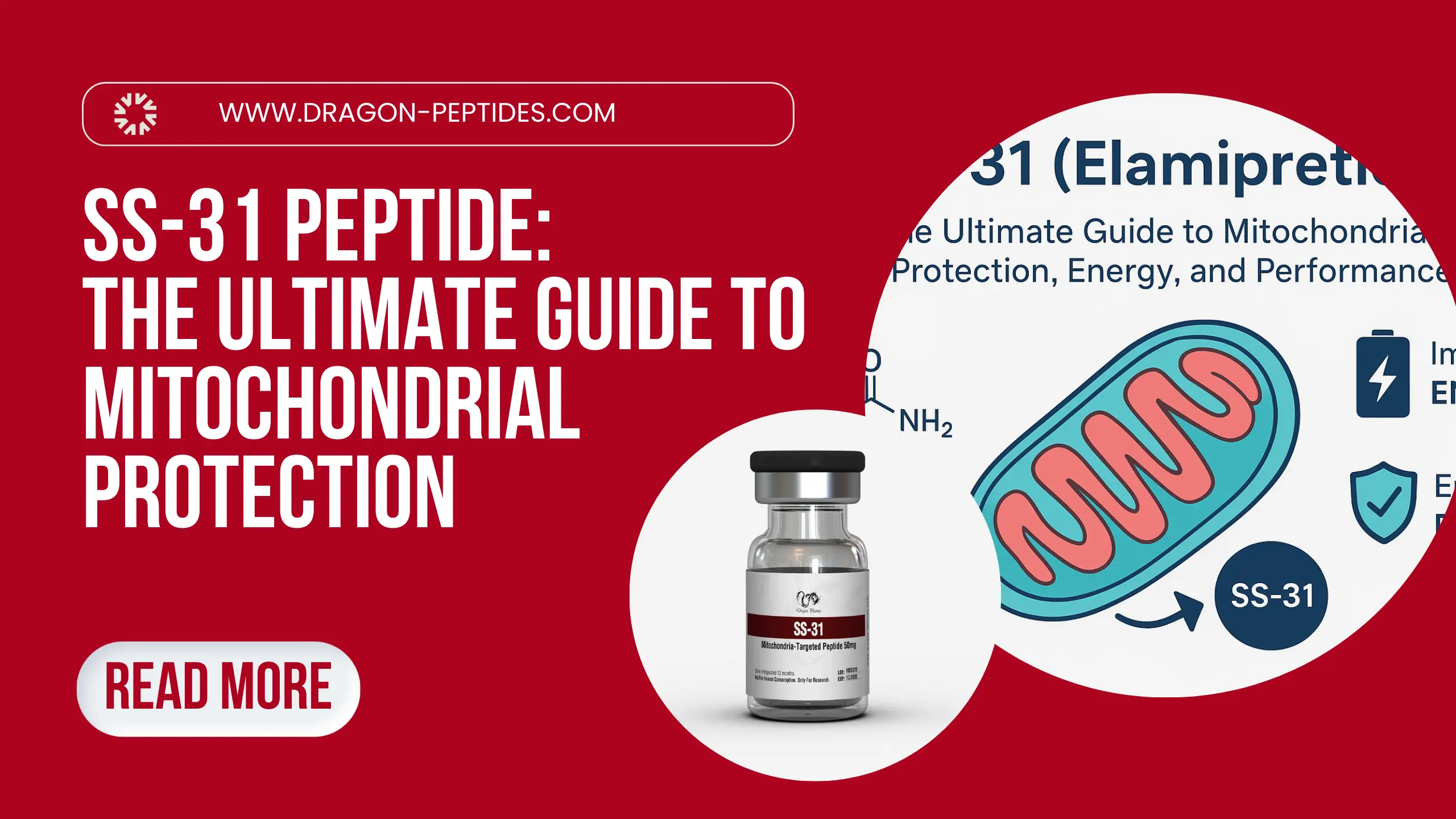 SS-31 Peptide (Elamipretide): The Ultimate Guide to Mitochondrial Protection, Energy, and Performance