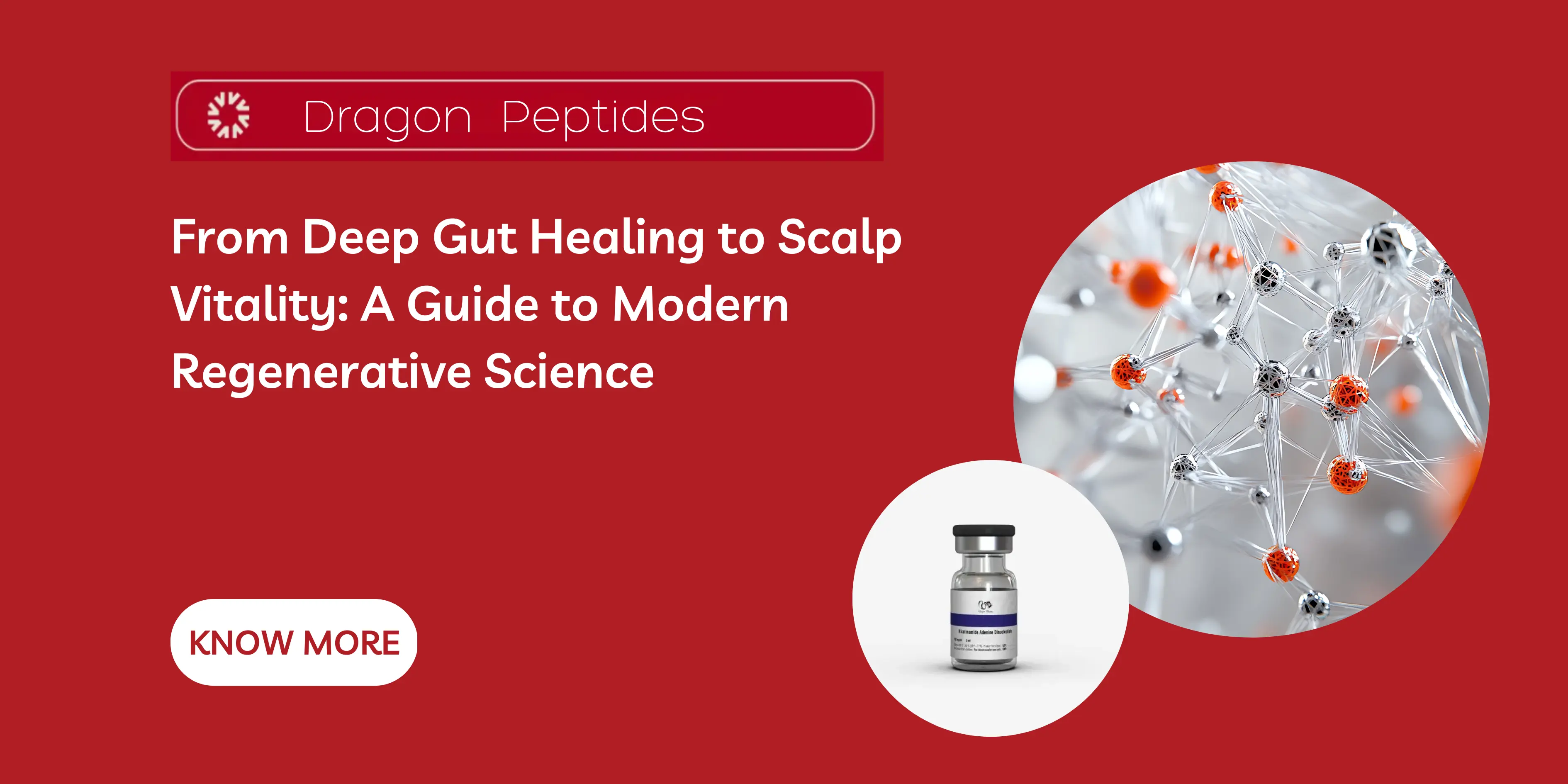 From Deep Gut Healing to Scalp Vitality: A Guide to Modern Regenerative Science