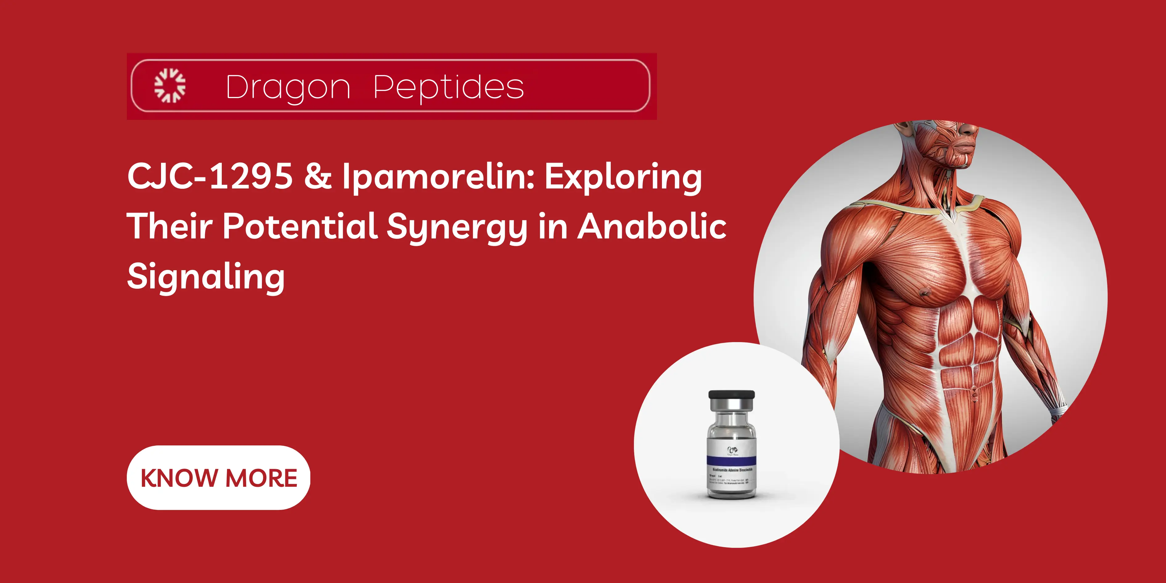 CJC‑1295 & Ipamorelin: Exploring Their Potential Synergy in Anabolic Signaling
