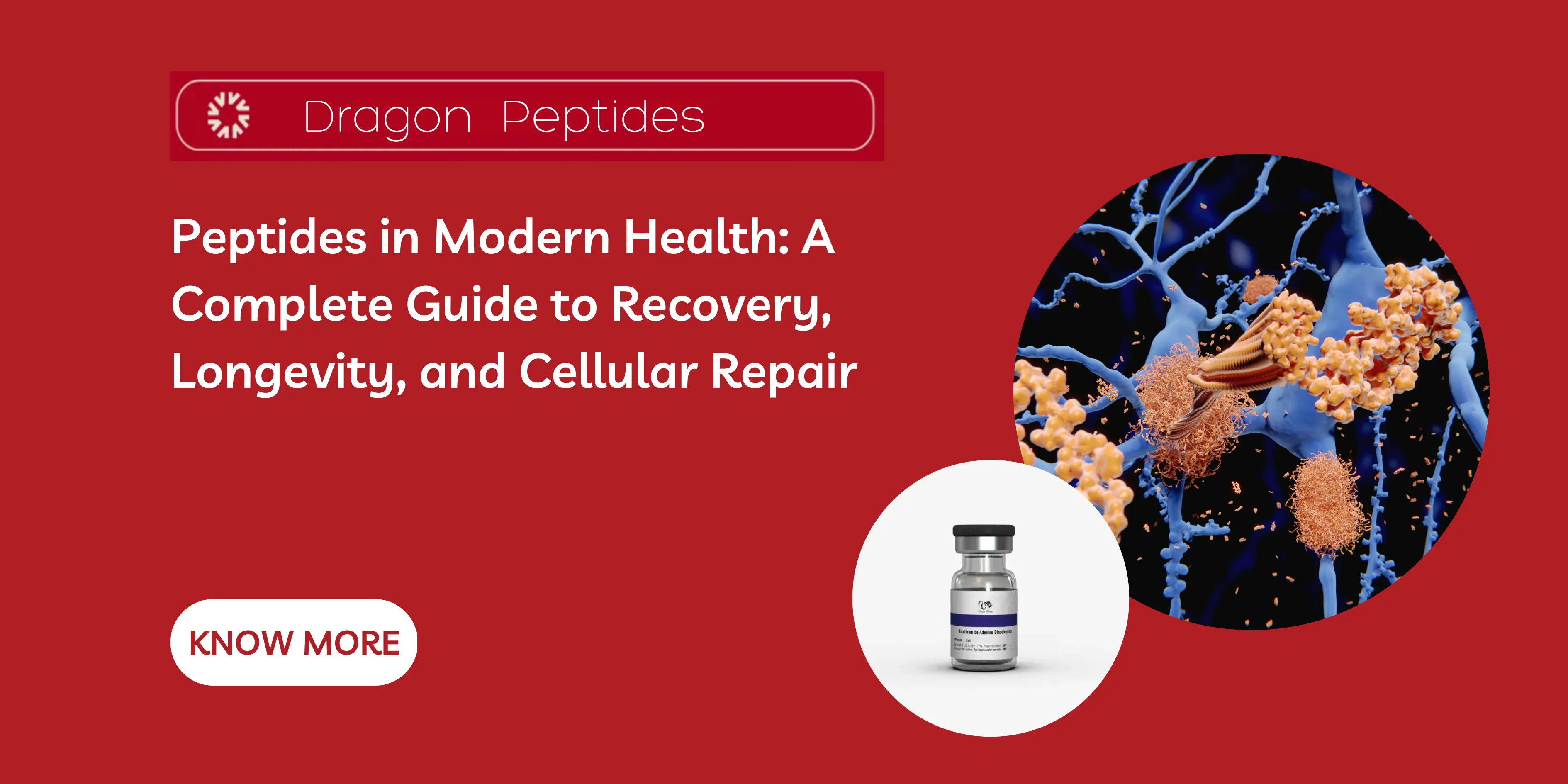 Peptides in Modern Health: A Complete Guide to Recovery, Longevity, and Cellular Repair