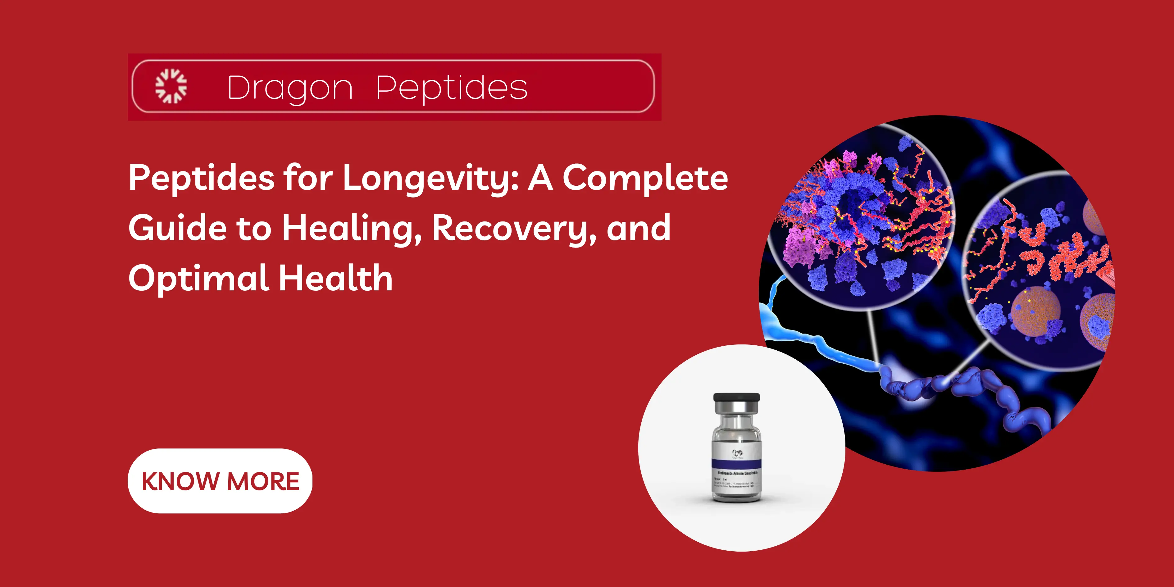 Peptides for Longevity: A Complete Guide to Healing, Recovery, and Optimal Health