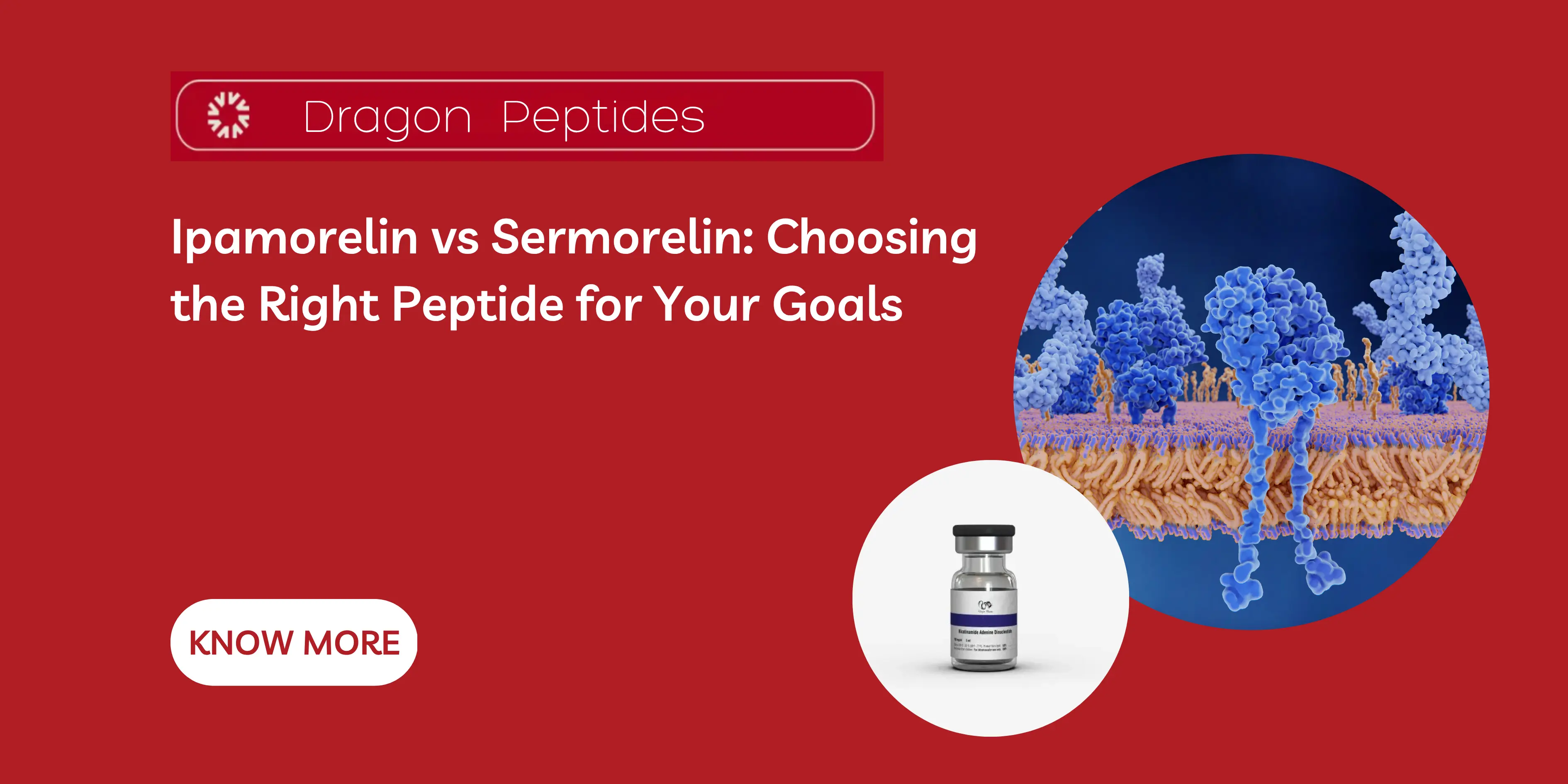 Ipamorelin vs Sermorelin: Choosing the Right Peptide for Your Goals