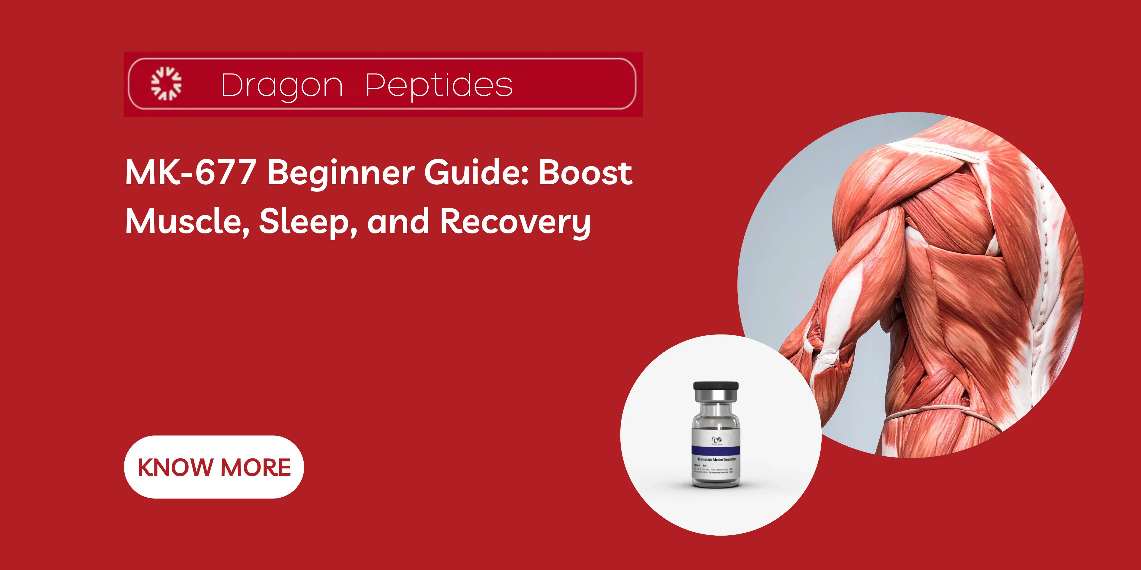 MK-677 Beginner Guide: Boost Muscle, Sleep, and Recovery