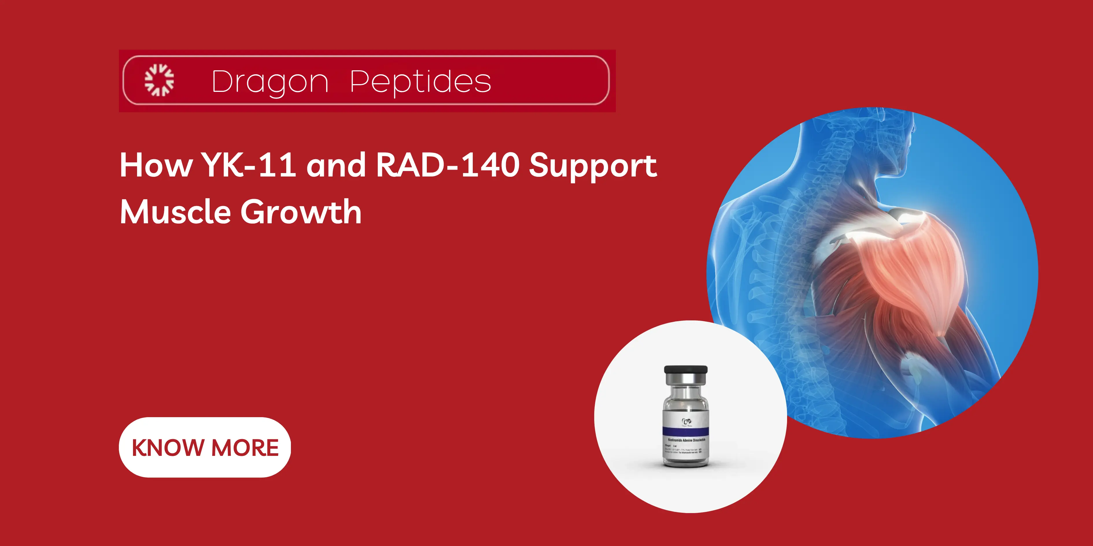How YK-11 and RAD-140 Support Muscle Growth