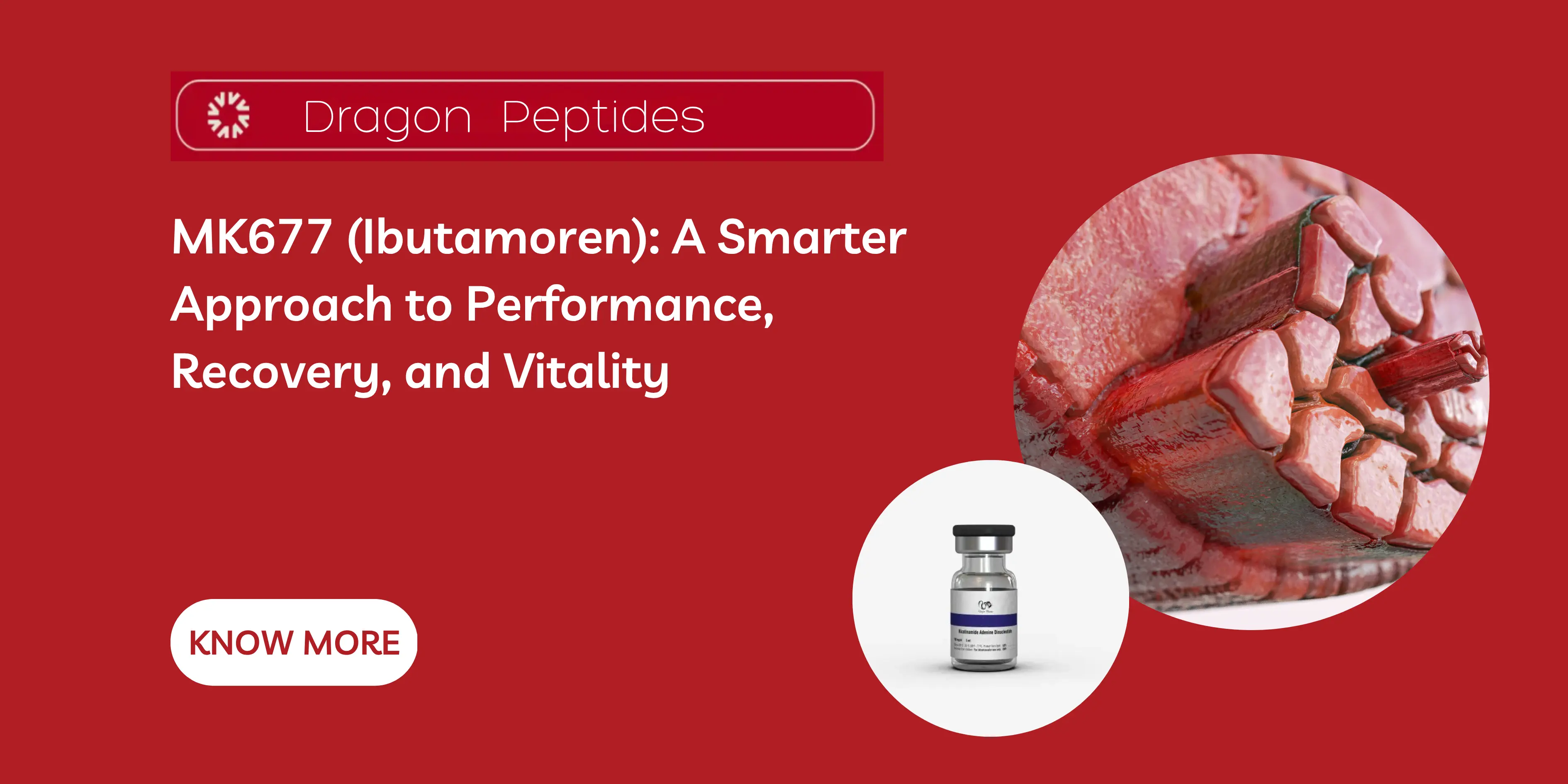 MK677 (Ibutamoren): A Smarter Approach to Performance, Recovery, and Vitality