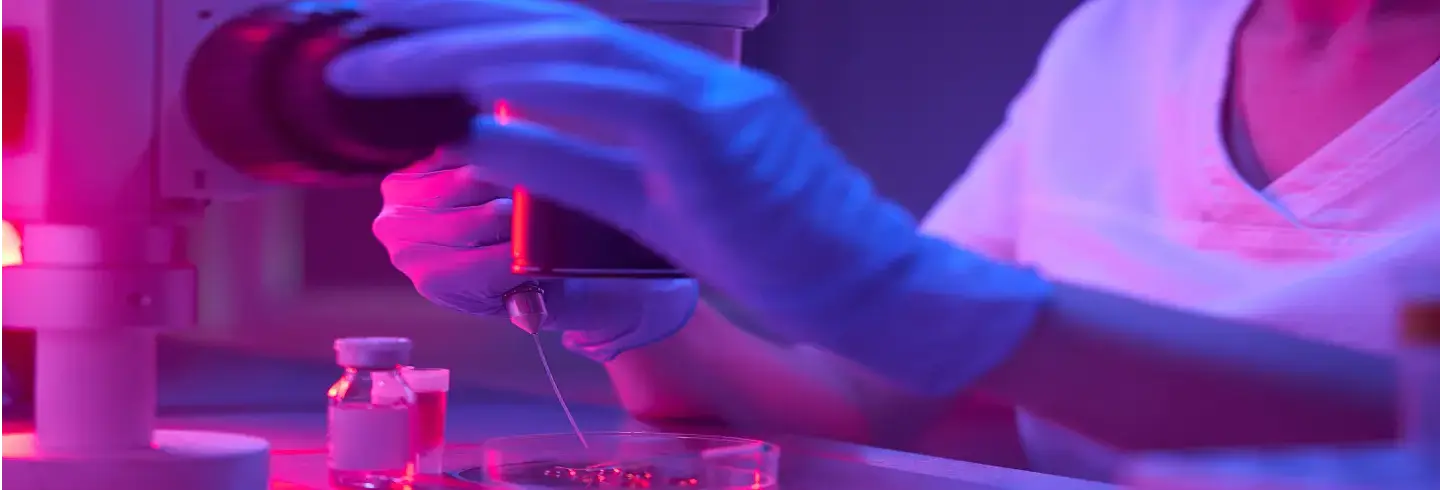 US Domestic Shipping