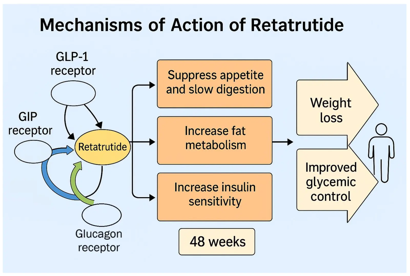 Retatrutide Mechanism Explained for Weight Loss & Energy