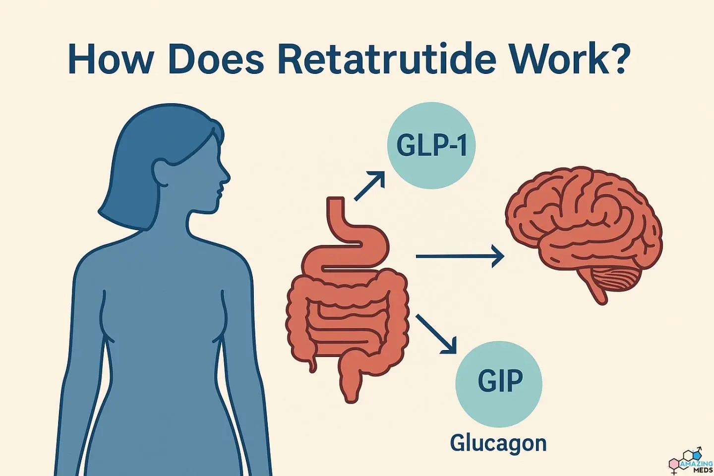 How Retatrutide Works?