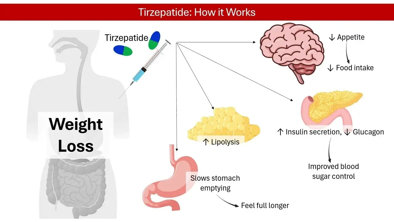How Does Tirzepatide Work for Weight Loss