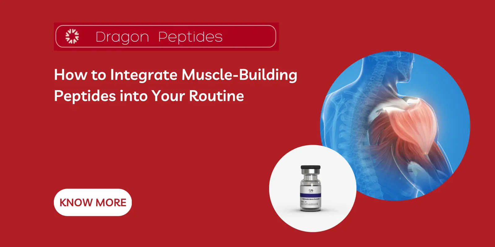 How to Integrate Muscle Building Peptides into Your Routine