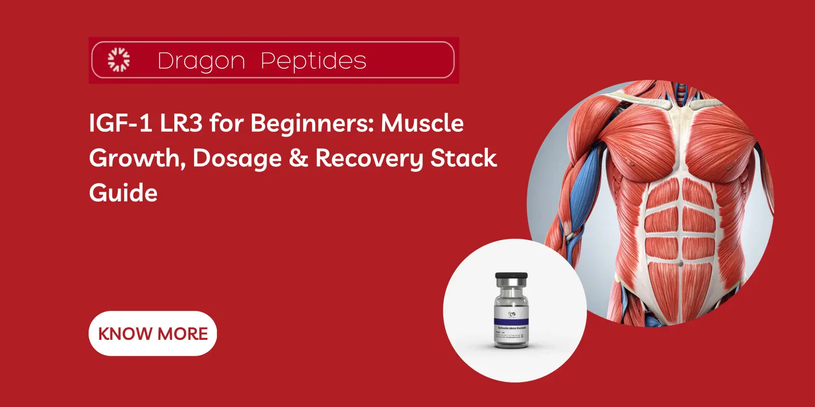 IGF-1 LR3 for Beginners: Muscle Growth, Dosage & Recovery Stack Guide