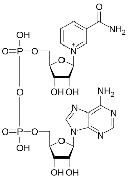 NAD+