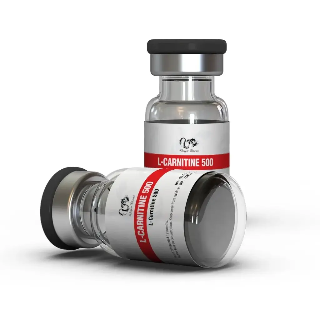 L-CARNITINE 500 L-CARNITINE 500