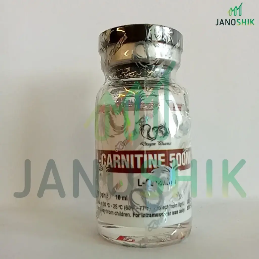 L-CARNITINE 500 L-CARNITINE 500