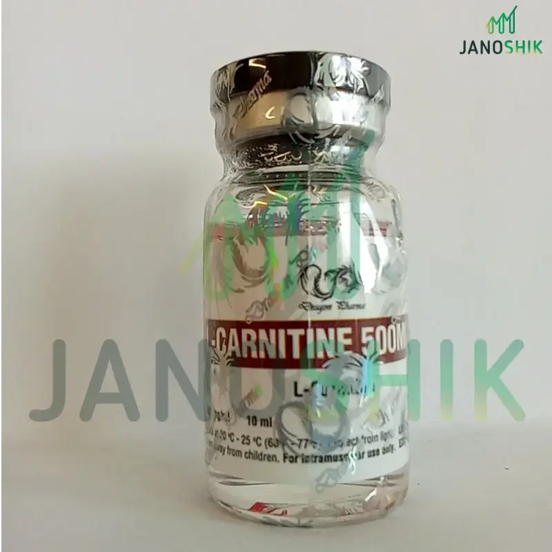 L-CARNITINE 500    