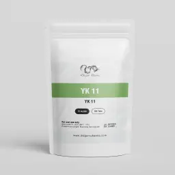 YK11