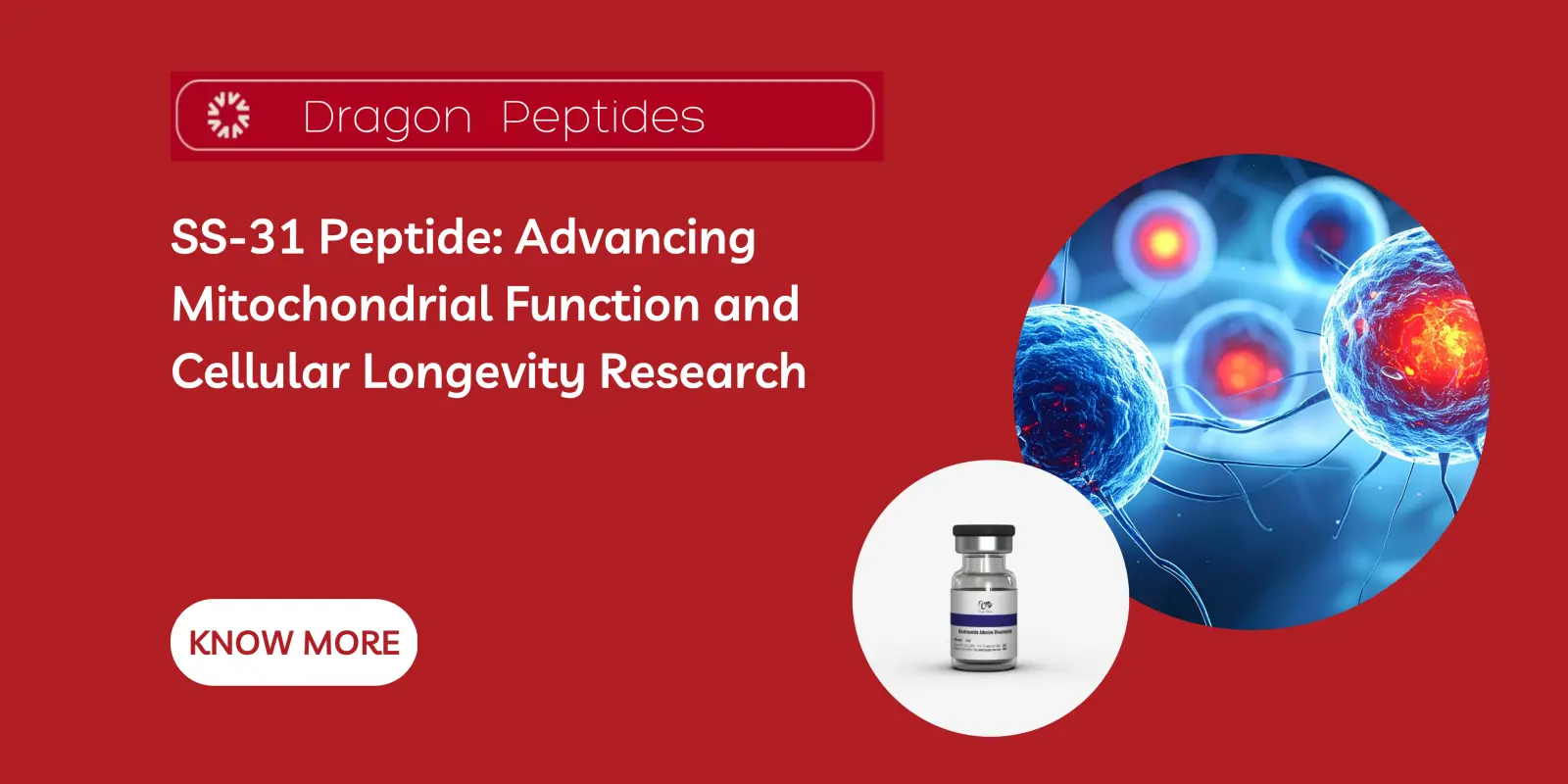 SS-31 Peptide: Advancing Mitochondrial Function and Cellular Longevity Research