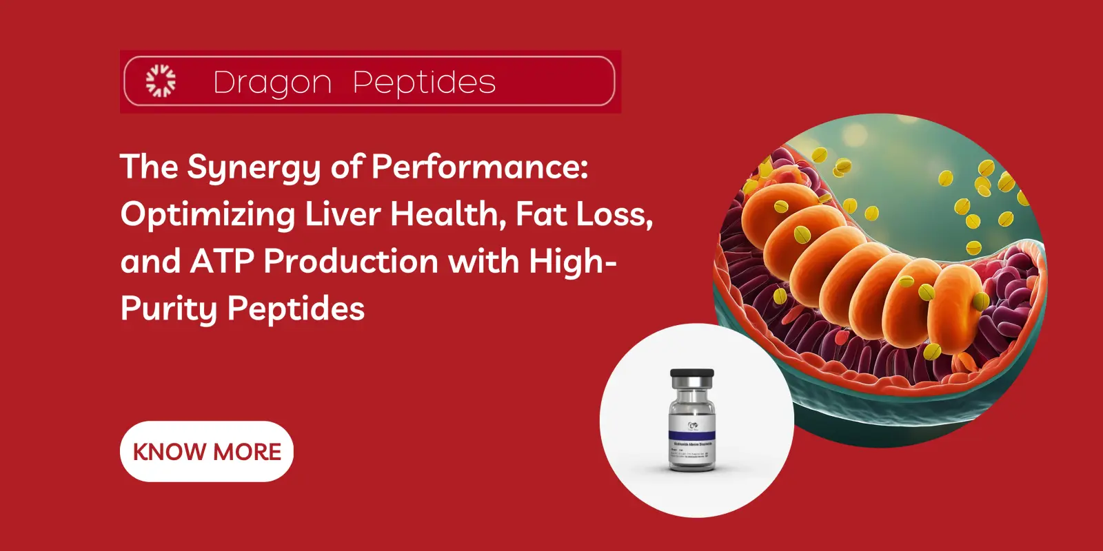 The Synergy of Performance: Optimizing Liver Health, Fat Loss, and ATP Production with High-Purity Peptides